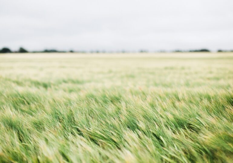 Из-за сильного ветра в Самарской области объявили желтый уровень опасности