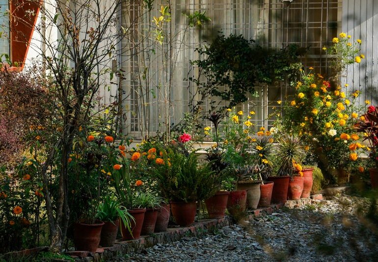 Ученые выяснили, что садоводство может снизить риск депрессии на 23%