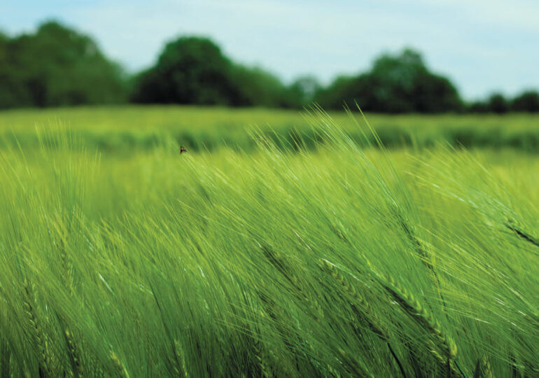 Из-за сильного ветра в Самарской области объявили желтый уровень опасности