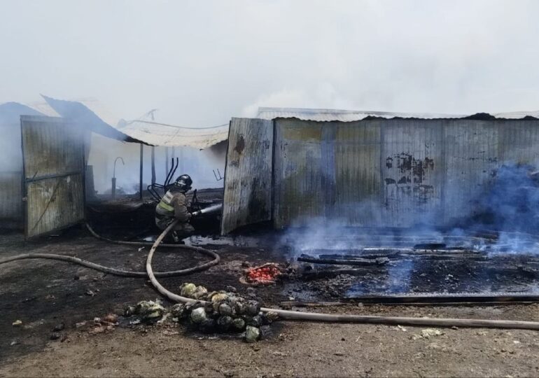 В Самарской области в пожаре погибли домашние животные