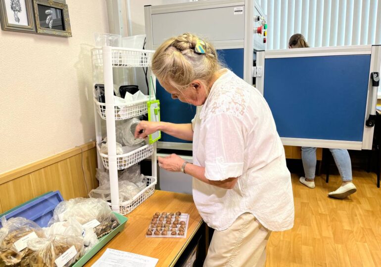 В Самарском университете сформировали семяна, которые отправятся в космос