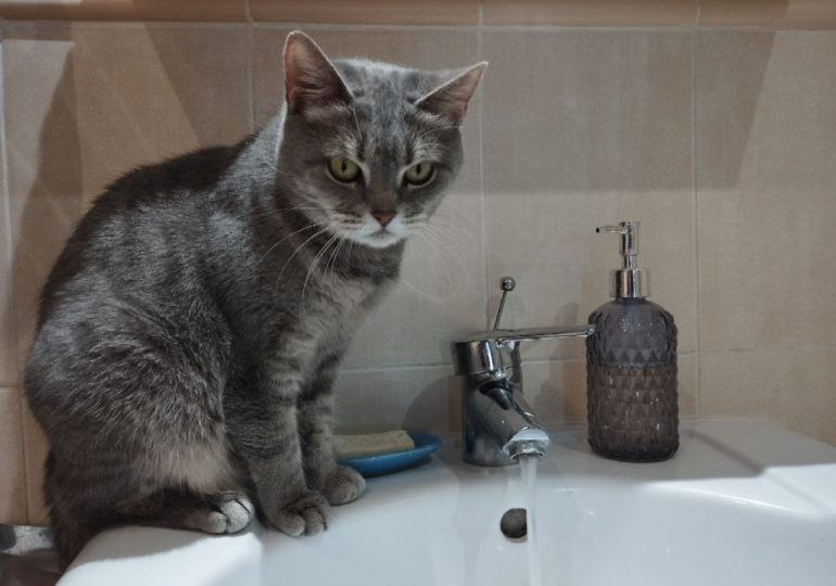 В Самаре пройдут плановые отключения горячей воды с 1 по 15 июля