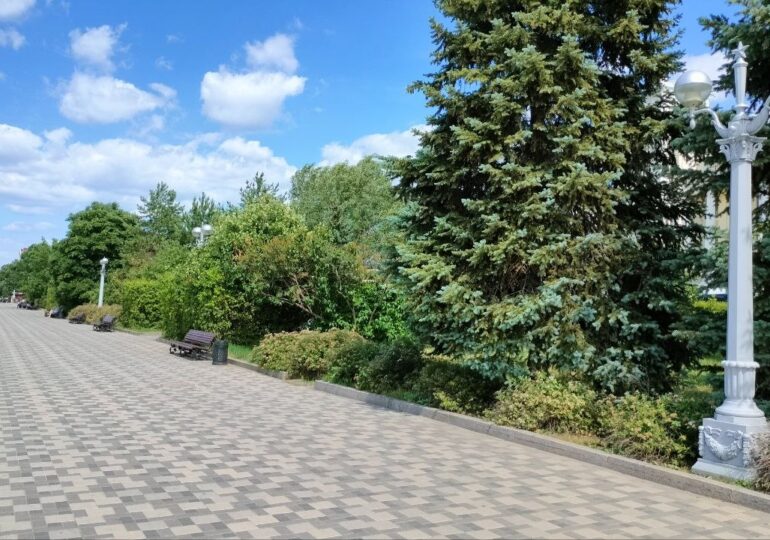 В Самарской области в выходные ожидается ветреная погода без дождей