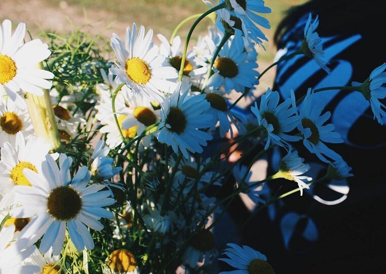 Жителям Самарской области рассказали о погоде в июле