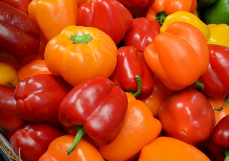 Диетолог рассказал, каких овощей не стоит есть много летом