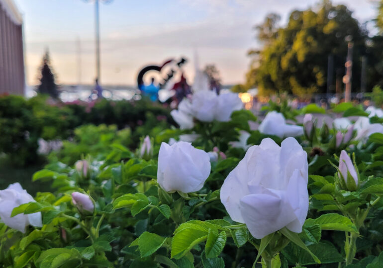 Афиша: куда сходить в Самаре 10 и 11 августа