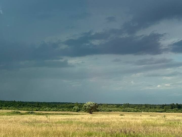 В Самарской области объявили желтый уровень опасности из-за грозы и сильного ветра