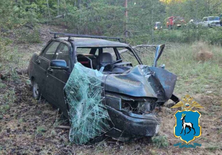 В Самарской области в результате ДТП пострадали два человека