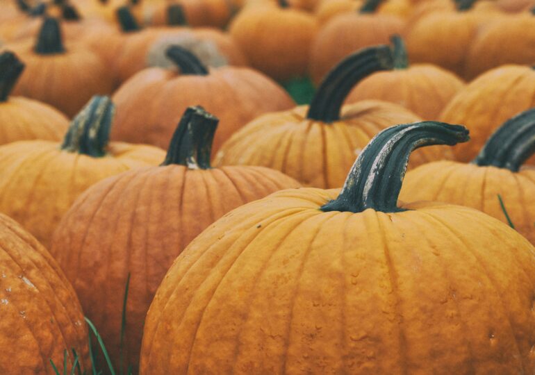 Диетолог-нутрициолог рассказал, почему этой осенью стоит обязательно приготовить тыкву