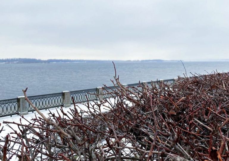 Стало известно, когда на водоемах в Самарской области начнется ледостав