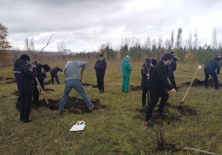 Самара присоединилась к всероссийской акции «Лес Победы»