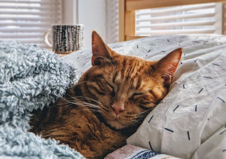 Самарцы стали реже продлевать отдых в День народного единства за счет отпуска