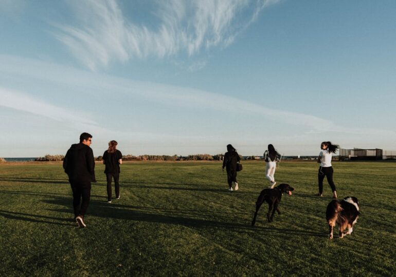 В Самаре 20 ноября пройдет Всероссийский день правовой помощи детям