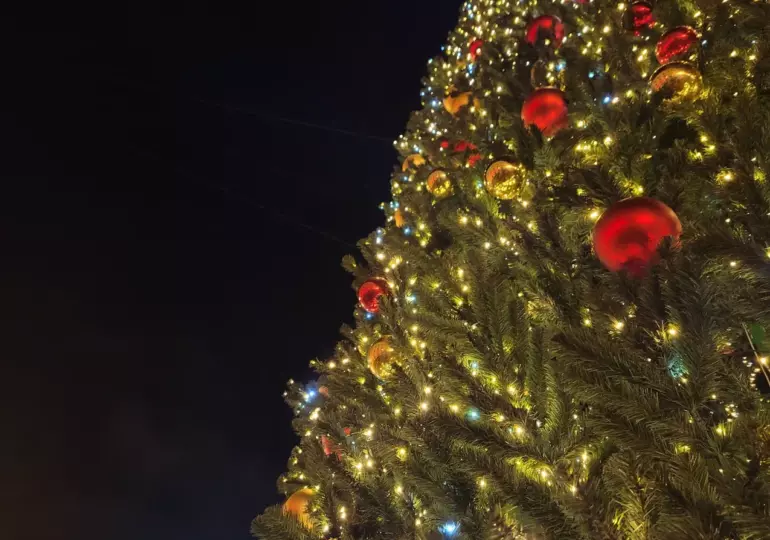 25 декабря стартует Всероссийский конкурс «Елки России»