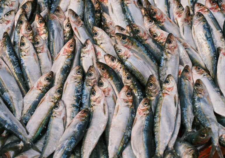 В России рыбные консервы подорожают на 5-25%