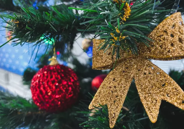 В России за год средняя цена на искусственную елку выросла на 14%