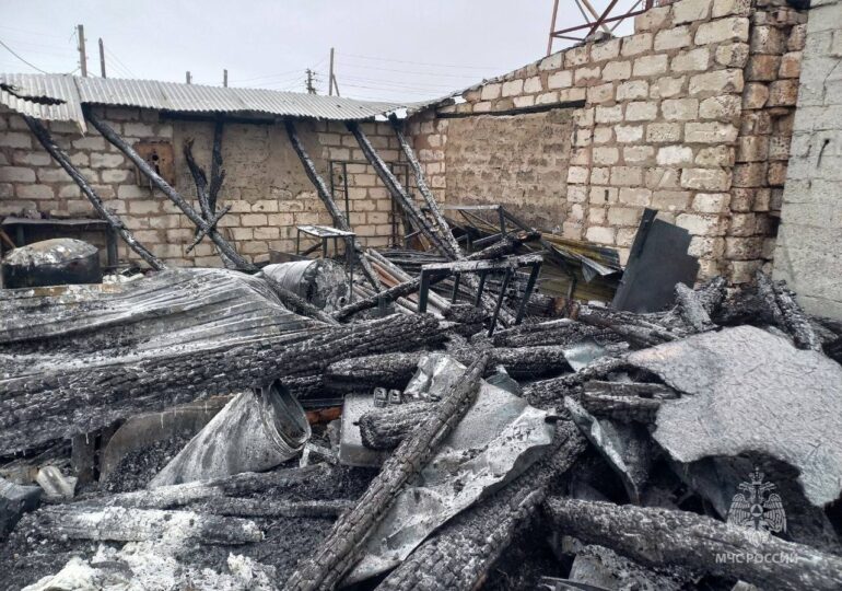 В Самарской области на ферме сгорели 500 цыплят