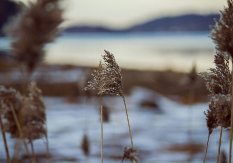 В Самарской области объявили желтый уровень опасности из-за сильного ветра