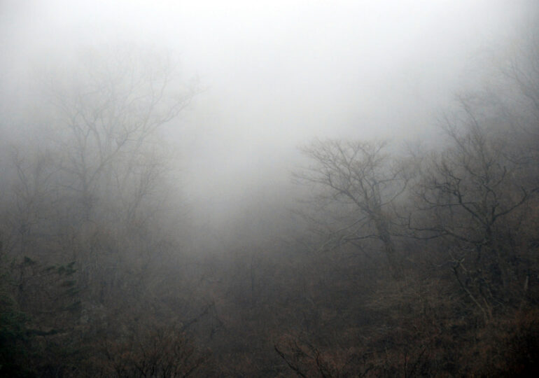В Самарской области 13 февраля из-за тумана объявили желтый уровень опасности