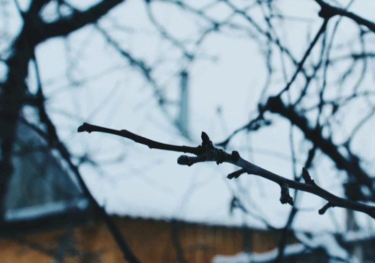 Самарцев предупредили, что сезон аллергии начнется на месяц раньше