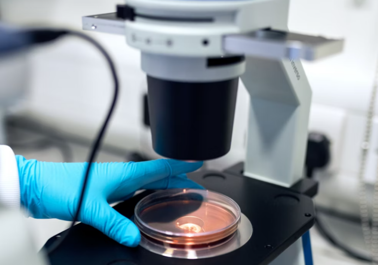 В Северной Осетии нашли новый вид микробов