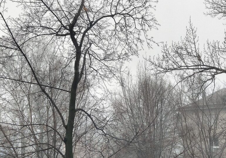 В Самарской области 15 марта прогнозируют туман