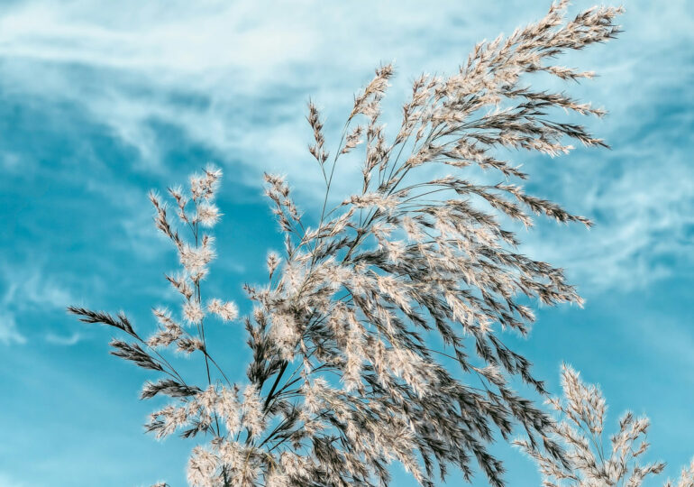 В Самарской области 10 марта объявили желтый уровень опасности из-за сильного ветра