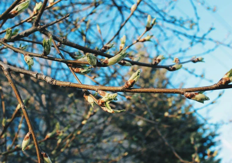 Около 30% самарцев планируют начать заниматься спортом этой весной