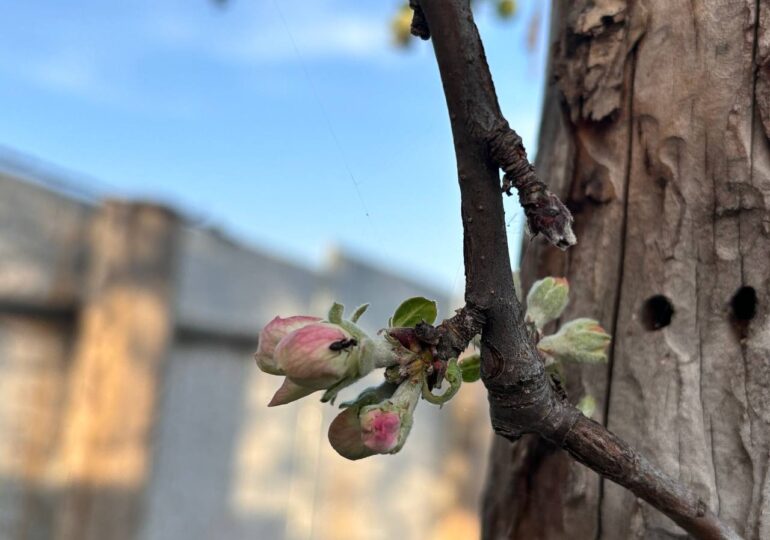 В России началась короткая рабочая неделя