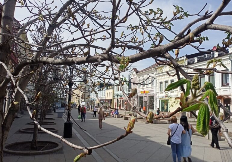 В Самаре приведут в порядок Ленинградскую