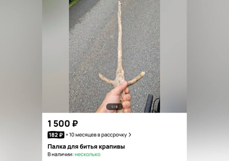 Предприимчивый самарец продает палку для битья крапивы