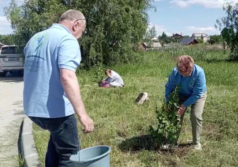 В самарском этнопарке Дружбы народов высадили березовую аллею