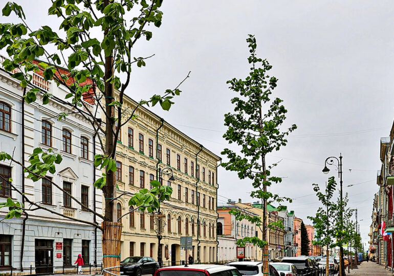 В Самаре обследовали более 4,9 тыс. деревьев и кустарников