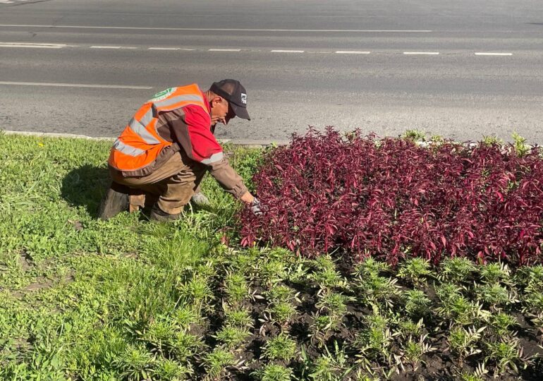 С приходом жары работы в самарском сквере «Шанхай» перевели на летний режим
