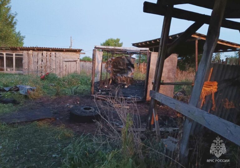 В Самарской области два ребенка погибли при пожаре