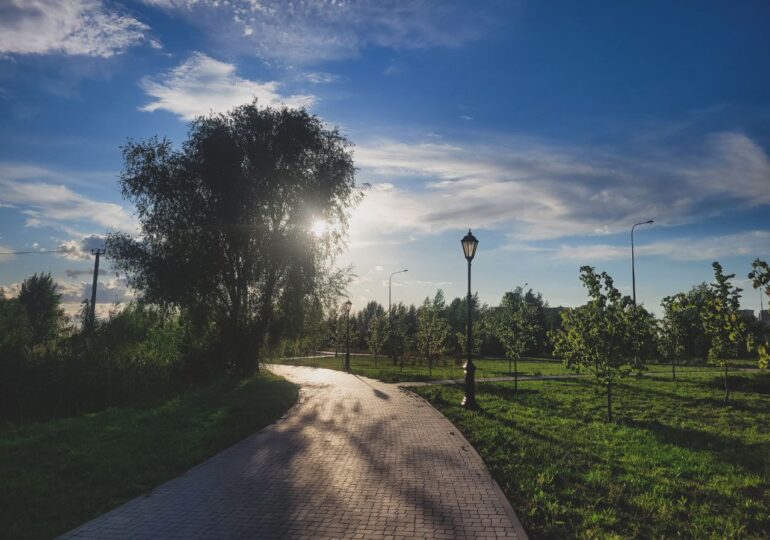 В Самарской области 31 мая и 1 июня воздух прогреется до +34 градусов