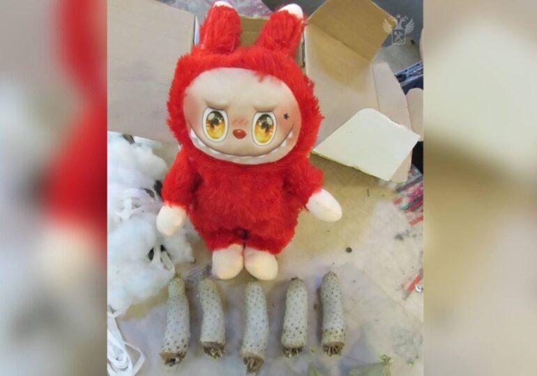 Таможенники нашли черенки кактусов в игрушке Лабубу из Таиланда