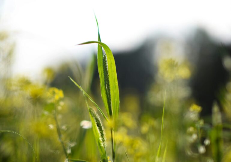 В Самарской области с 8 по 10 июня из-за жары объявили желтый уровень опасности