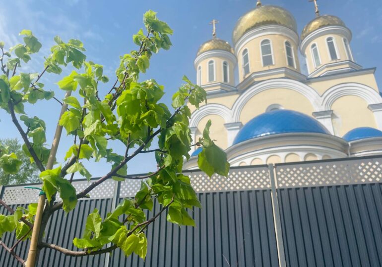 Православные христиане 8 июня отмечают День Святой Троицы