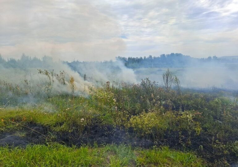 В Самарской области потушили сухостой на площади 1,5 тыс. кв. м