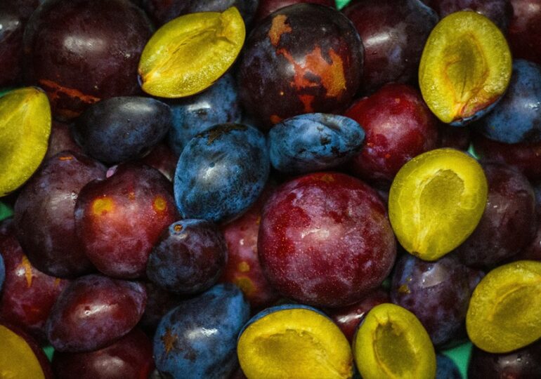 В Самарской области предотвратили ввоз около 20 тонн зараженной сливы из Узбекистана