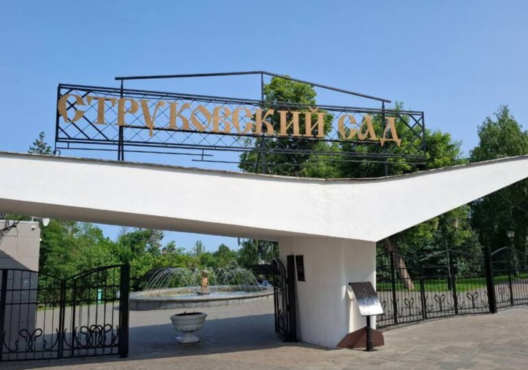 Более 8 тыс. самарцев приняли участие в праздновании Дня молодежи