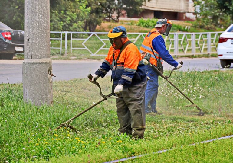 В Самаре приступили к очередному этапу ухода за газонами