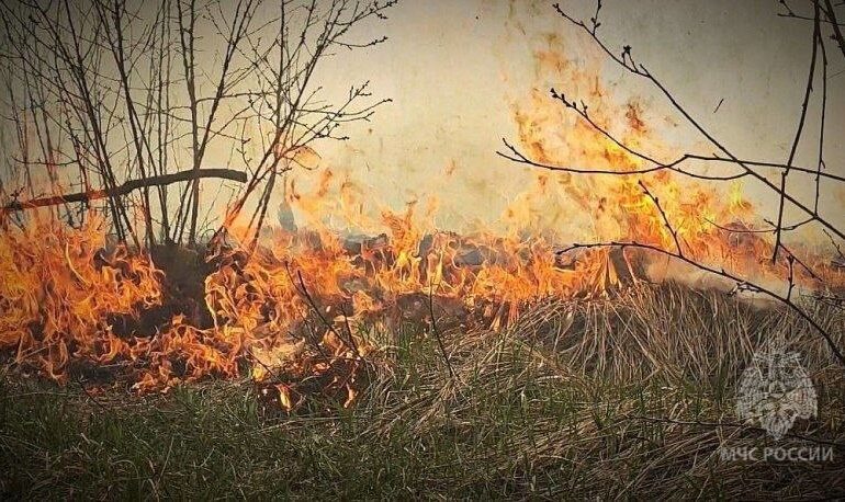 В Самаре на острове Зелененький потушили пожар на площади 3 га