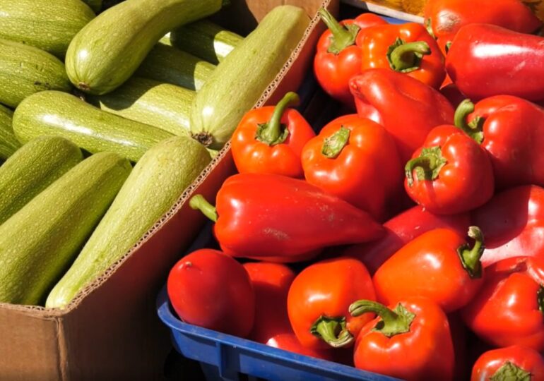 В Самаре стартовал сезон осенних сельскохозяйственных ярмарок