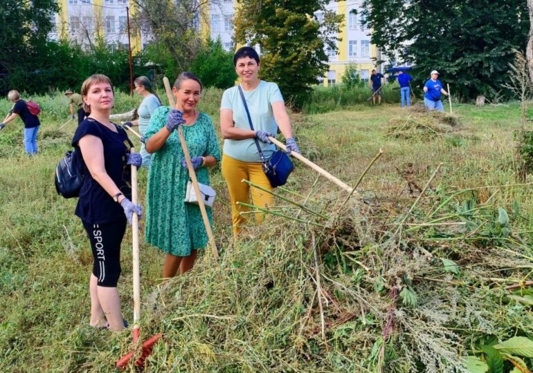В Самаре на общегородском субботнике привели в порядок более 263 тыс. кв. м газонов