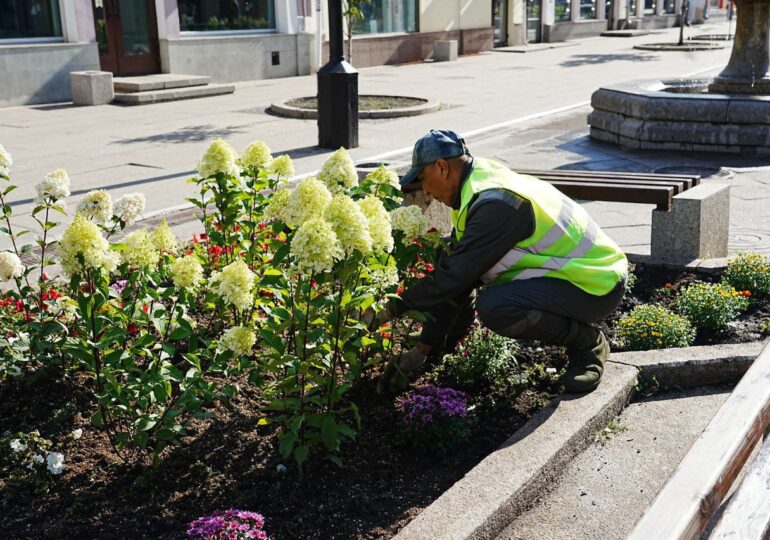 В Самаре обновили клумбы на Ленинградской