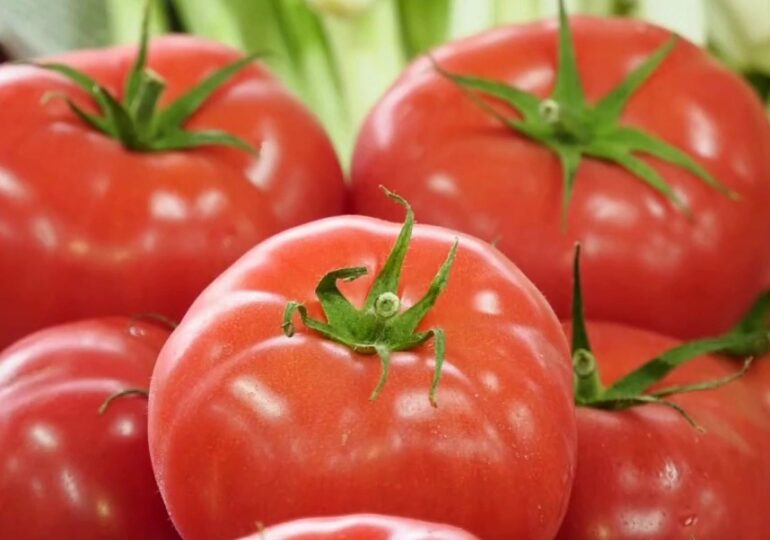 Самарцам рассказали о способах сбора урожая осенью