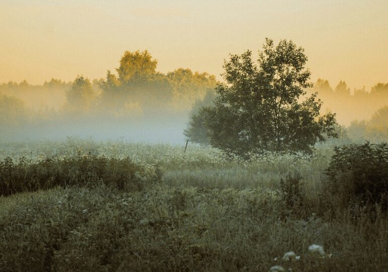 В Самарской области 4 сентября ожидается туман