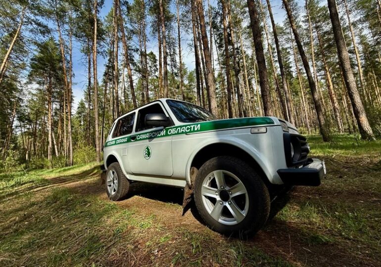 В Самарской области усилили контроль за пожарной безопасностью в лесах